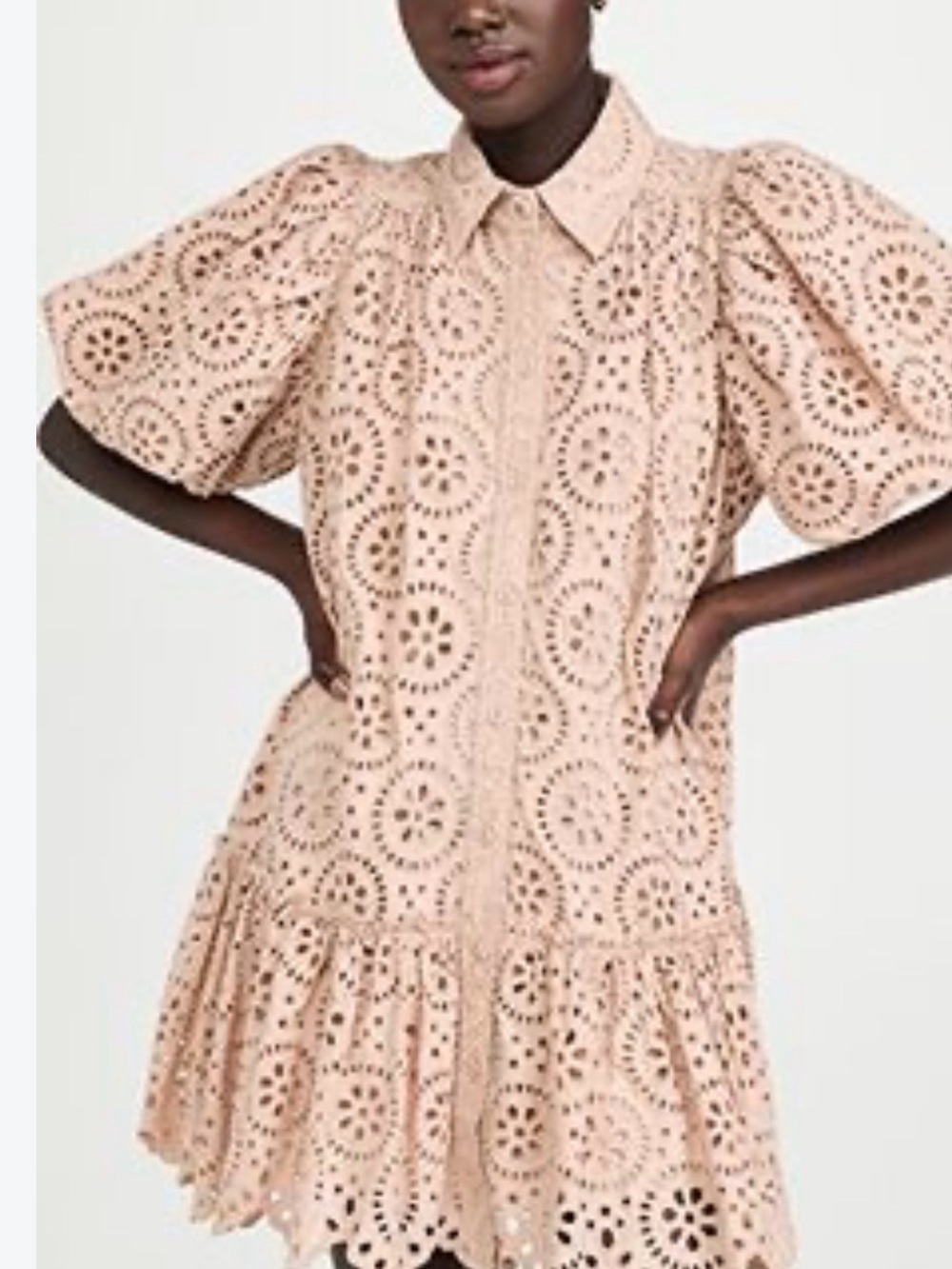 Aje Textural Puff Sleeve Broderie Mini Shirt Dress